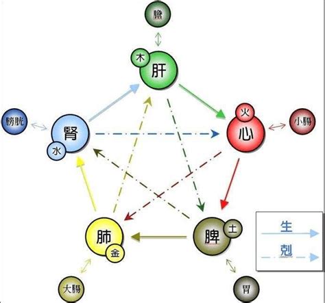 八字屬火 職業